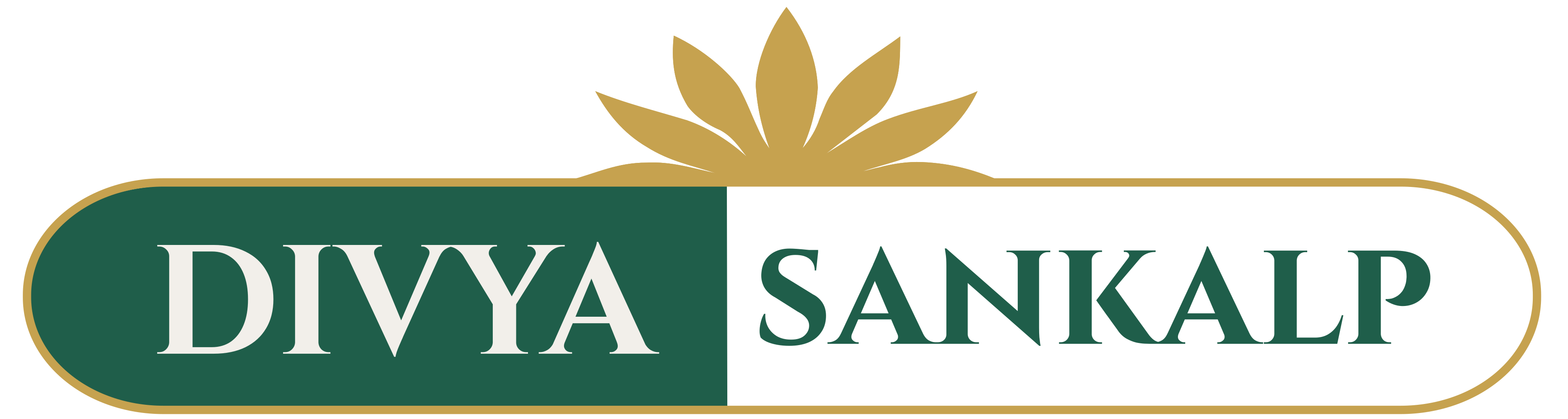 Divya Sankalp Store